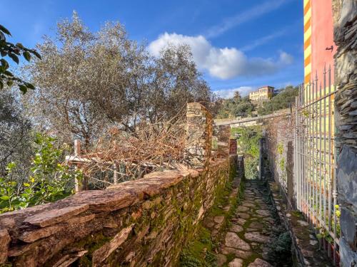 Gallery image of Villa Rosa in Camogli