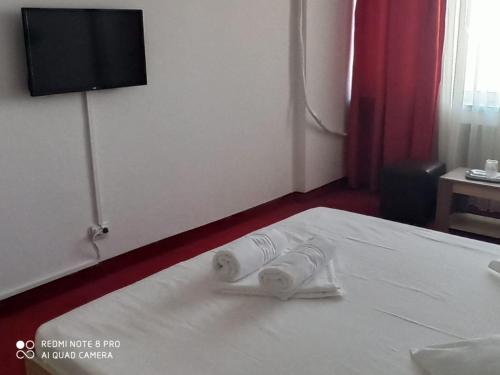 Postel nebo postele na pokoji v ubytování Hotel viilor