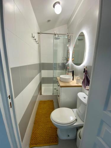 une salle de bain avec toilettes, lavabo et miroir dans l'établissement Duplex 80m2 port de nice, direct aéroport avec le tram, à Nice