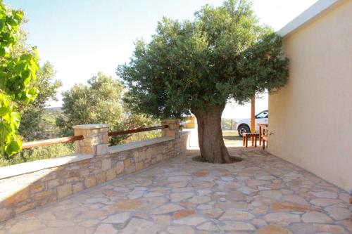 a tree on the side of a building with a wall at Petra Mare Babis in Akoumia