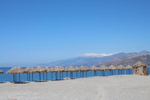 a group of straw umbrellas on a beach at Petra Mare Babis in Akoumia