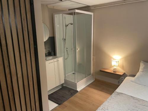 La salle de bains est pourvue d'une cabine de douche en verre. dans l'établissement Chez Simon, à Ussel