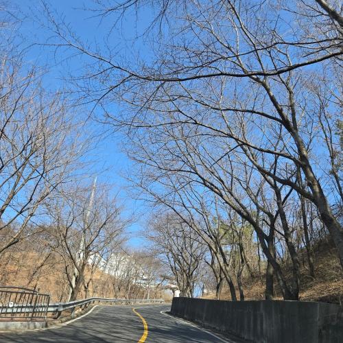an empty road with trees on the side of the road at Best value, Fresh Air Village in Pohang