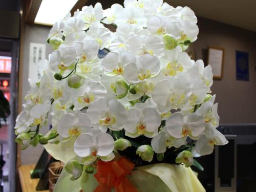 a bouquet of white flowers in a vase at Hotel Trend Asahikawa in Asahikawa