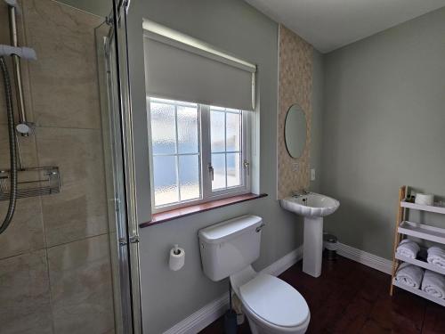 a bathroom with a toilet and a sink and a shower at Dergfield House in Ballybofey