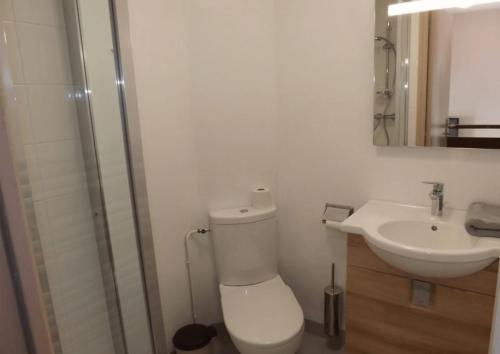 a bathroom with a toilet and a sink at Gite 9 Gîte Puy Mary Séjour Relaxant au Cœur du Parc Naturel Régional in Le Claux