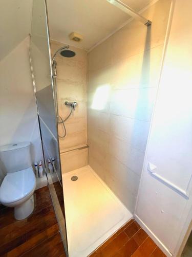 une salle de bain avec douche et toilettes dans l'établissement Le Teck, à Deauville