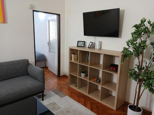 Televízia a/alebo spoločenská miestnosť v ubytovaní Apartment Havlickova