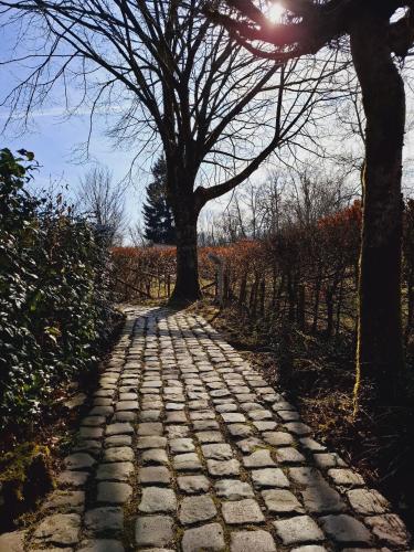 Gambar di galeri bagi Domaine De L'Alu di Samrée