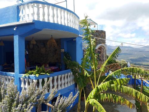 a blue and white house with plants in front of it at Blue House Town in Chefchaouene