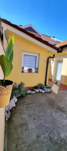 a house with a potted plant in front of it at "My Life" luxury river apartments in Niš