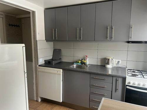 een kleine keuken met een spoelbak en een fornuis bij Small house in Vilnius