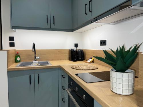Η κουζίνα ή μικρή κουζίνα στο POST VIEW Center Luxury Apartments 2