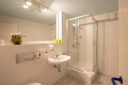 a bathroom with a shower toilet and a sink at Erzgebirgshotel Freiberger Höhe in Eppendorf