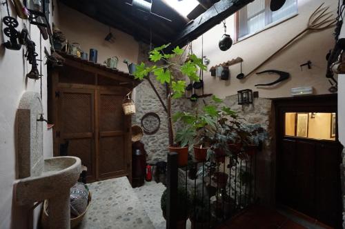 una habitación con macetas en la pared en Apartamentos Rurales Tía Josefa, en Tornavacas