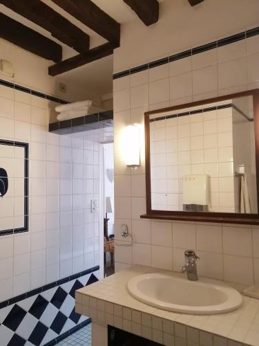 une salle de bain avec un lavabo et un miroir dans l'établissement Maison sculptée, à Vernon