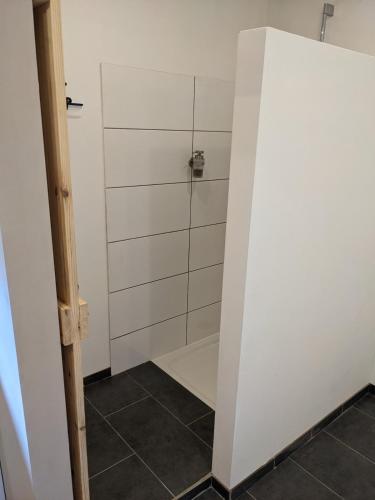 a bathroom with a shower and a glass door at Kleine Wohnung am waldrand in Baustert