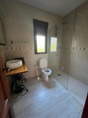 a bathroom with a toilet and a sink and a shower at Casa de la Senda in Candeleda