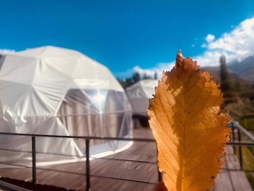 a leaf sitting on a table next to a tent at SG Glamping Resort in Hunza