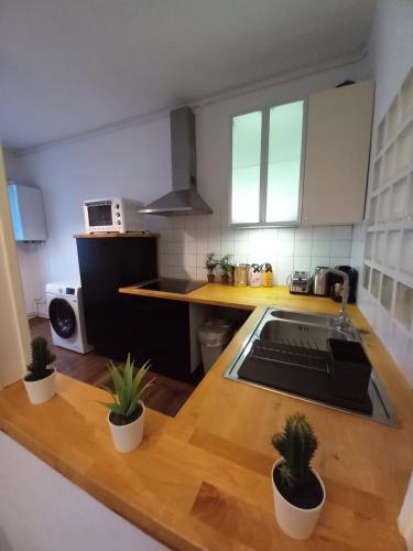 une cuisine avec un comptoir en bois et des plantes en pot dans l'établissement Bango, Art et élégance, Proche Centre Ville, à Reims