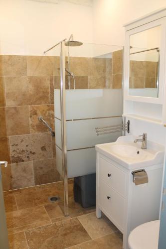 une salle de bain avec un lavabo et une douche dans l'établissement A Cozy Accessible Cottage with a Private Garden Le Mas No 16, à Ayen