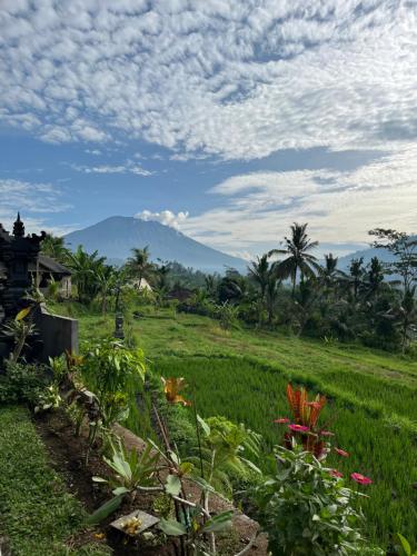 a field with flowers and a mountain in the background at Sarwhe Nadi Homestay in Sidemen