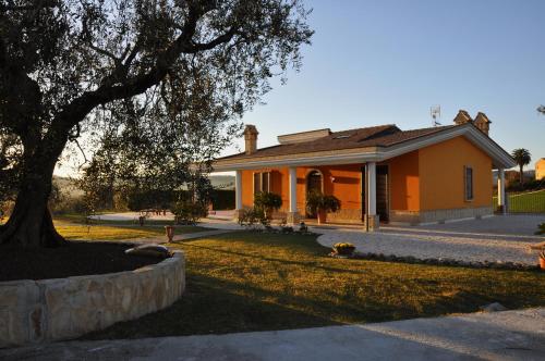 a yellow house with a tree in front of it at B&B Agrifoglio in SantʼElpidio a Mare