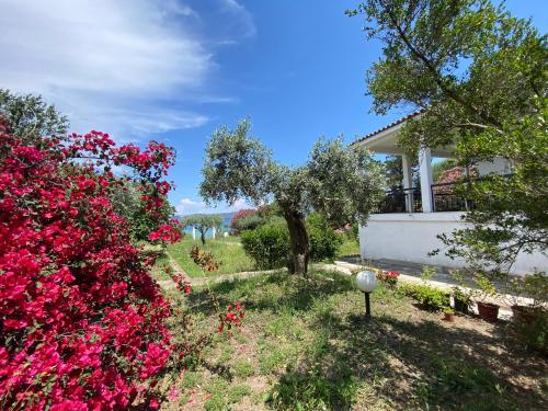 a house with pink flowers in the yard at Casa Santa Agua in Ammouliani