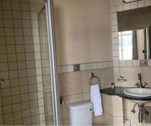 un baño con inodoro y lavabo en City Haven 519, en Johannesburgo