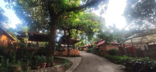 a street with a tree and some houses at Dhyana Bindhu Home Stay in Kollam