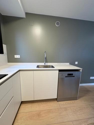 a kitchen with a sink and a dishwasher at REUSIA Apartaments in Reus