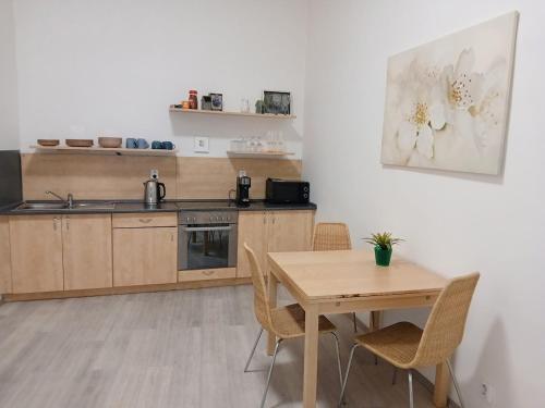 Kuchyňa alebo kuchynka v ubytovaní Apartment Havlickova