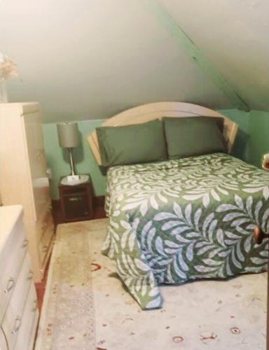 a bedroom with a bed with a green wall at Quaint 3rd Floor Loft in Highland Park
