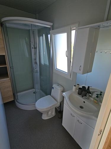 a bathroom with a shower and a toilet and a sink at Adria Mobile Home in Pirovac