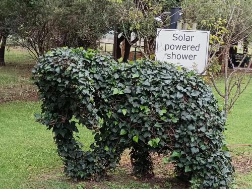 a bush shaped like a bear in front of a sign at Airport Bird & Game Lodge in Kempton Park