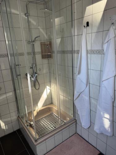 a shower with a glass door in a bathroom at Zur schönen Rosenblüte, Ferienhaus in Schülern