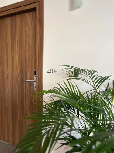 a plant in front of a door with a timestamp at Pensiunea Select Central in Târgu-Mureş