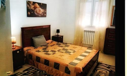 コンスタンティーヌにあるAppartement meubléのベッドルーム1室(チェック入りの毛布付きのベッド1台付)