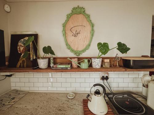 a shelf with plants and a mirror on a wall at Buena Vista in Struisbaai in Struisbaai