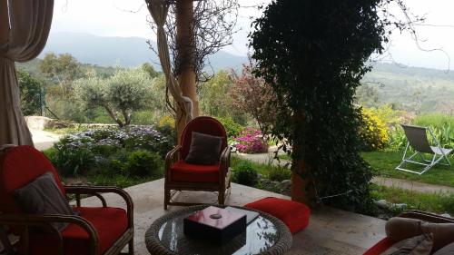 Γενική θέα στο βουνό ή θέα στο βουνό από  αυτό το διαμέρισμα