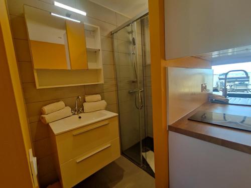 une salle de bain avec un lavabo et une douche dans l'établissement Appart 76, Port Nature Colline 2 Village Naturiste, au Cap d'Agde