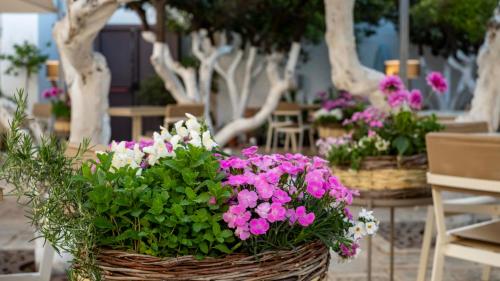 a bunch of flowers in baskets on a table at La Sommità Relais & Chateaux in Ostuni