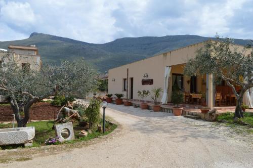 a building with trees and a road in front of it at B&B Serenity in Castelluzzo