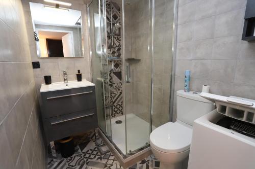 une salle de bain avec une douche, des toilettes et un lavabo dans l'établissement St Cyprien moderne maison T2 mezzanine proche plage, à Saint-Cyprien