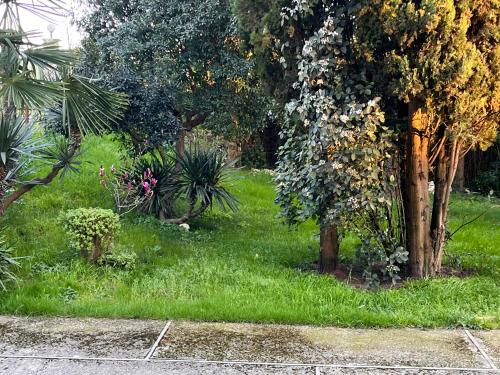 a garden with some trees and grass and some bushes at Nel giardino segreto vista giardino in San Giorgio a Liri