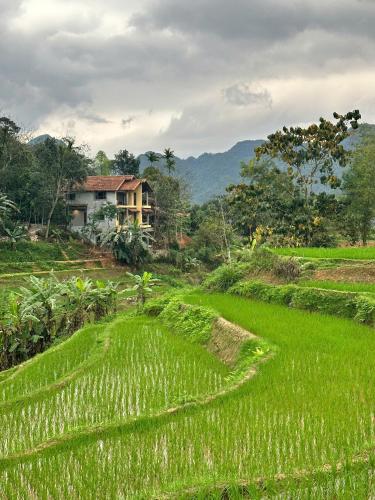a house in the middle of a green field at PU LUONG BOUTIQUE GARDEN in Pu Luong
