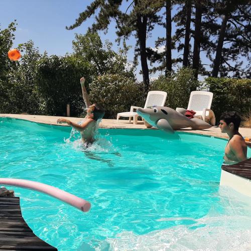 Kolam renang di atau dekat dengan Oasis en Provence, piscine, pinède et vue splendide