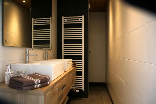 a bathroom with a sink and a mirror at Vakantiehuis Weideblik in Biezenmortel