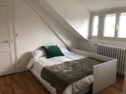 - une chambre dotée d'un lit avec un oreiller vert dans l'établissement Maison familiale équipée, centre-ville, au Mans