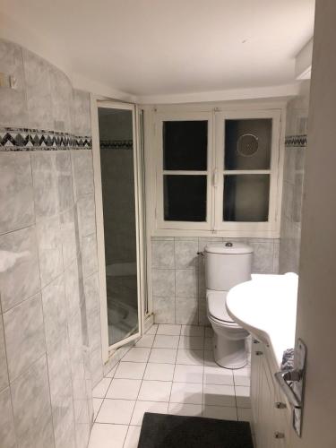 une salle de bain avec toilettes, lavabo et douche dans l'établissement Luxury Apartment in Paris, à Paris